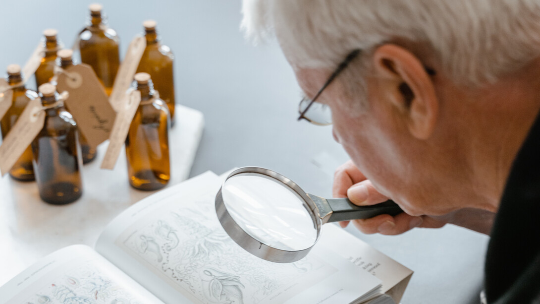Homem mais velho estuda flores e seus aromas para aprender a desenvolver perfumes de notas amadeiradas