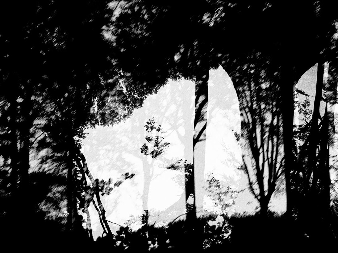 © Jean-François Spricigo. Courtesy Galerie Maeght, Paris, 2014
