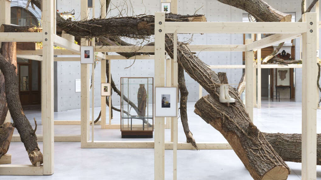 Danh Vo, πνεῦμα (Ἔλισσα), exhibition view. Courtesy of Stedelijk Museum 