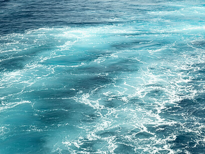 Many microscopic organisms and sediments are introduced into the ships ballast tanks