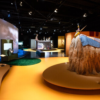 In Mali, when animals dance, exhibition view. Courtesy of Musée des Confluences