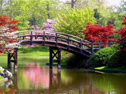 Haiku. Jardín oriental