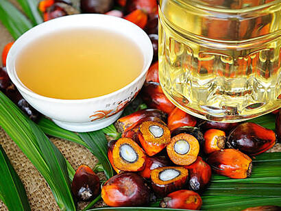 Freshly collected oil palm fruits arranged for processing
