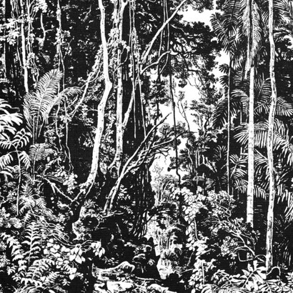 Ferdinand Bellermann, Interior de la selva (detalle)