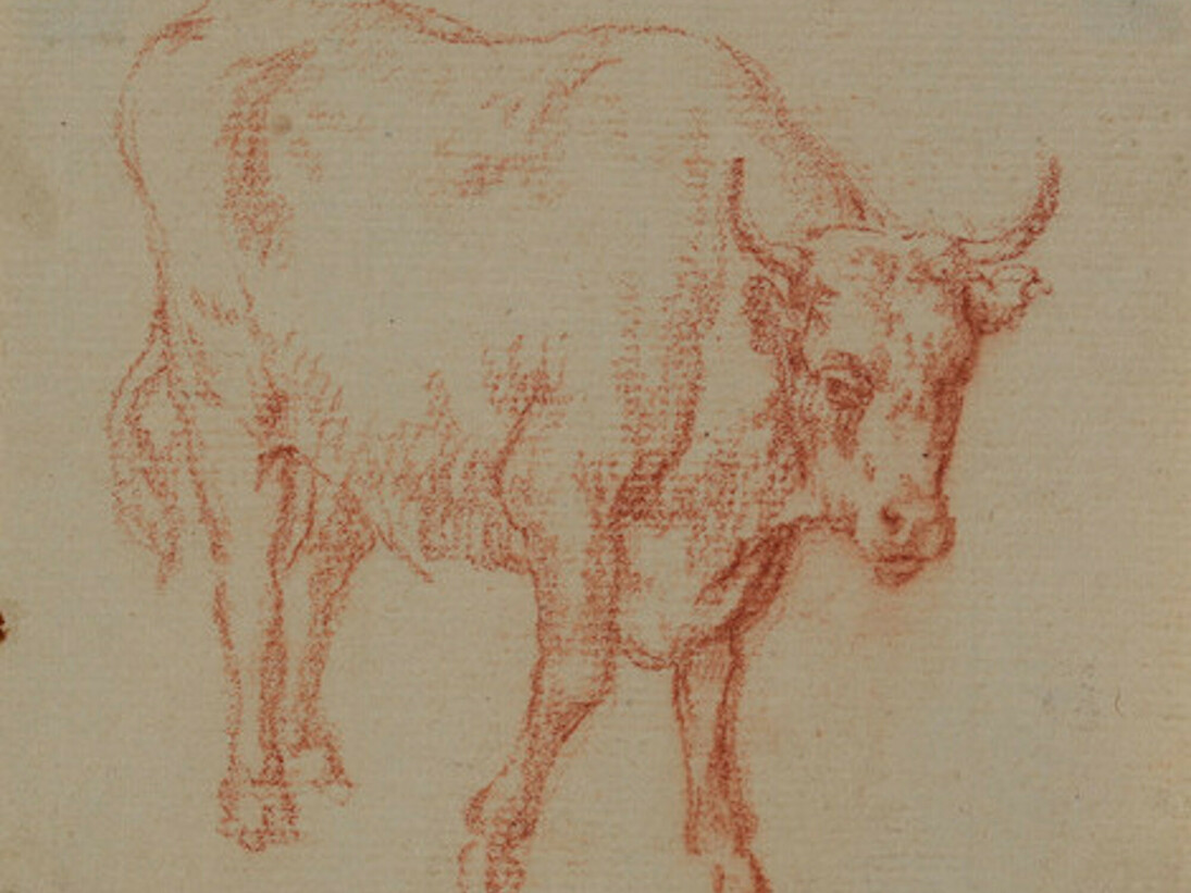 The Art of Tracing. Courtesy of Wallraf-Richartz-Museum