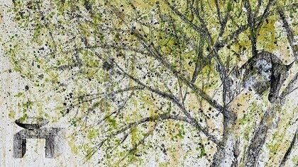 Antico Tiglio di Octavia Monaco