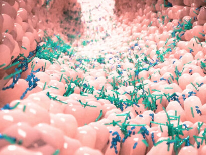Microbiota intestinale di cui fanno parte batteri, ma anche virus, funghi e protozoi