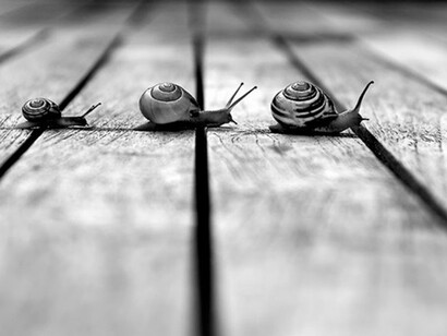 Elogio della lentezza