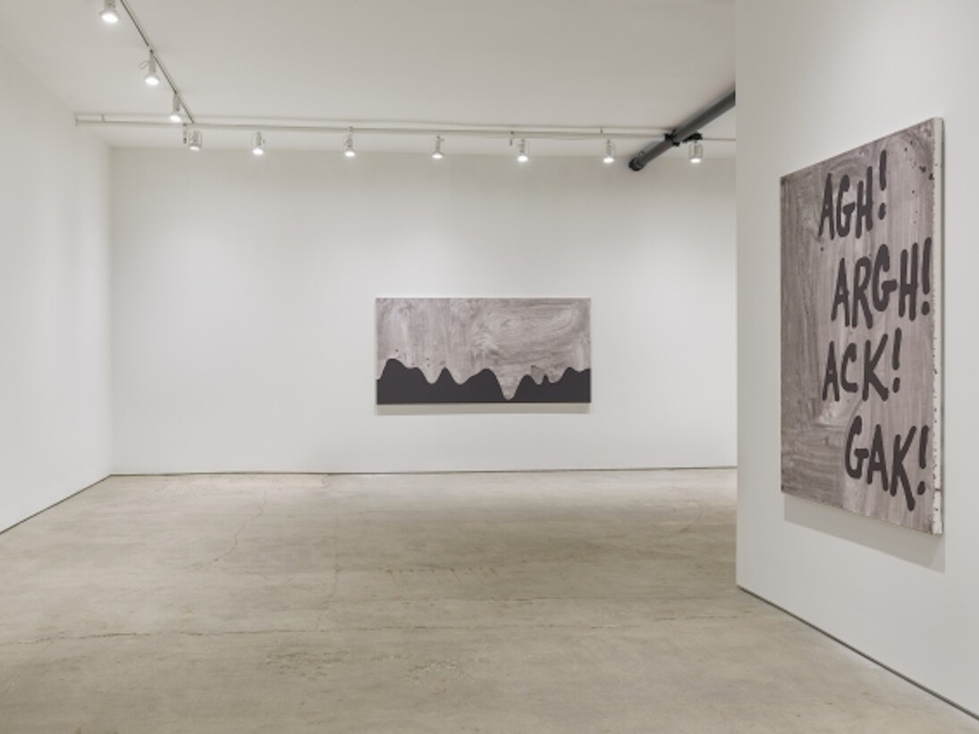 Carl Ostendarp, Exhibition view. Courtesy of Elizabeth Dee