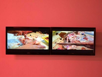 Malek Gnaoui, Black Sheep Fabrica, 2014