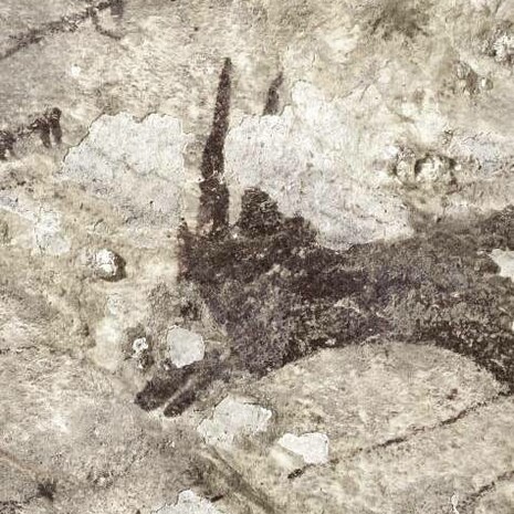 Cerca de 44.000 años de antigüedad tiene esta pintura 