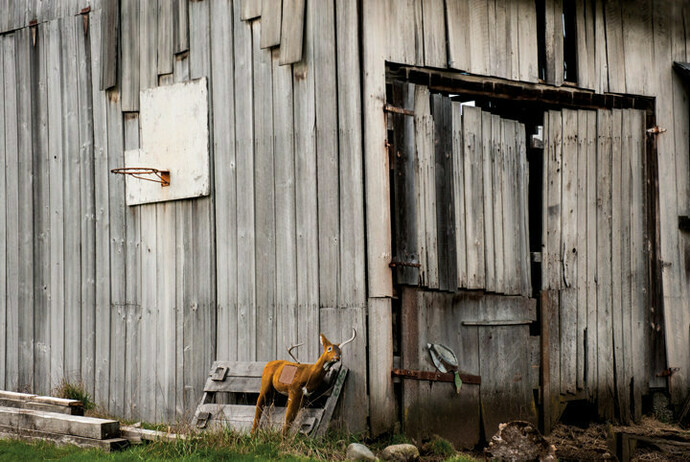 Robin  Layton, LeBron James’ Childhood Hoop, 2012, Metallic archival print, 1/3, 40 x 60 inches 