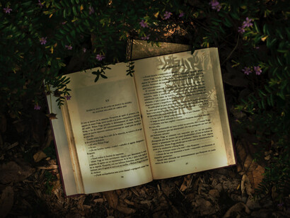 La poesía naturalmente revela estudios histórico-sociológicos y antropológicos de fuentes antiguas