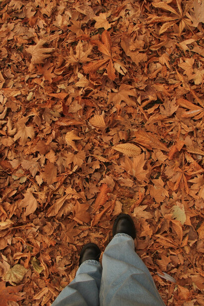 Una persona cammina su una distesa di foglie cadute dagli alberi dai colori tipicamente autunnali