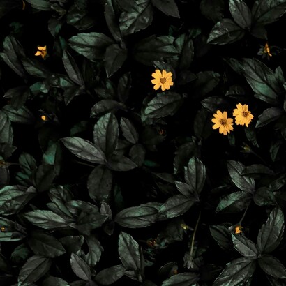 Rechercher des psychothérapies, c'est rechercher une solution aux problèmes