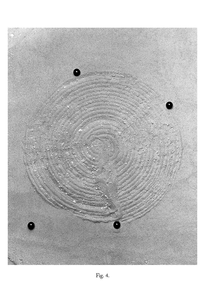 Victoria Jenkins, Fig. 4