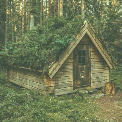 La imaginación es criatura solitaria