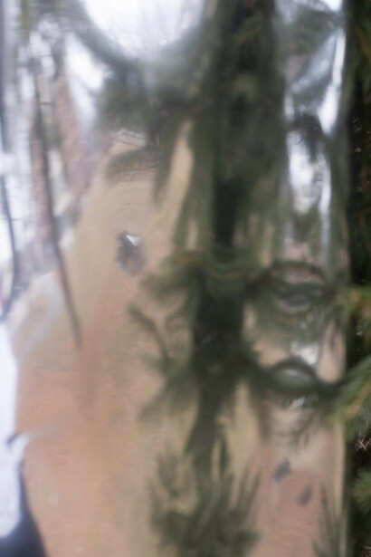 Chelsea Ning, Irreconcilable Mirage, Artwork (detail). Courtesy of the artist and :iidrr Gallery