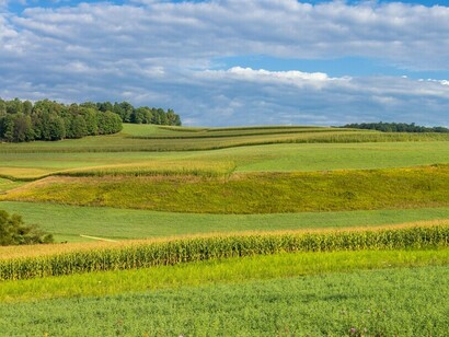 Extensos campos agrícolas que se extienden por el campo