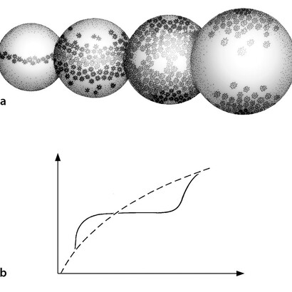 Illustrazione dal volume "Vita e natura: una visione sistemica", Aboca Edizioni