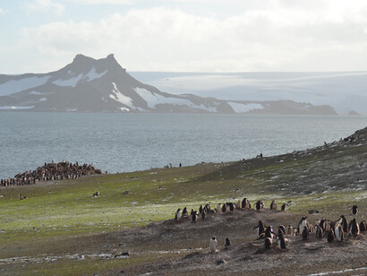 Ardley Island