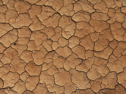 Desertificación y muerte