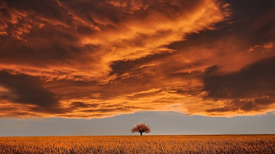 As the sun sets in vibrant hues, the beauty of nature reminds us of the resilience found in every moment