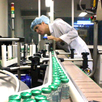 Producción de suero antiofídico en el Instituto Clodomiro Picado (ICP). Foto: Archivos ICP
