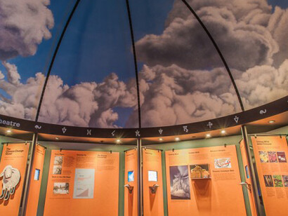 Natural History Gallery. Courtesy of Royal BC Museum