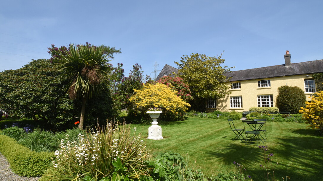 Il giardino in veste primaverile, con le fioriture di azalee, rododendri e camelie. Nella foto in basso si notano un cespuglio di Libertia grandiflora, un’iridacea dai fiori bianchi, e la massa dorata di Azalea mollis dai fiori profumati. Foto di Enzo Valenti