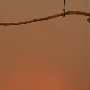 Lit. Courtesy of The Bass