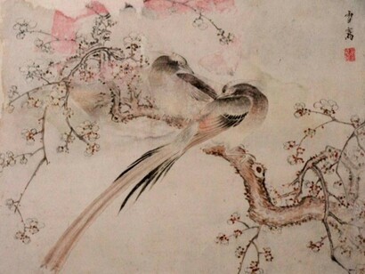 Collezione Orientale. Courtesy of Museo Civico Pier Alessandro Garda