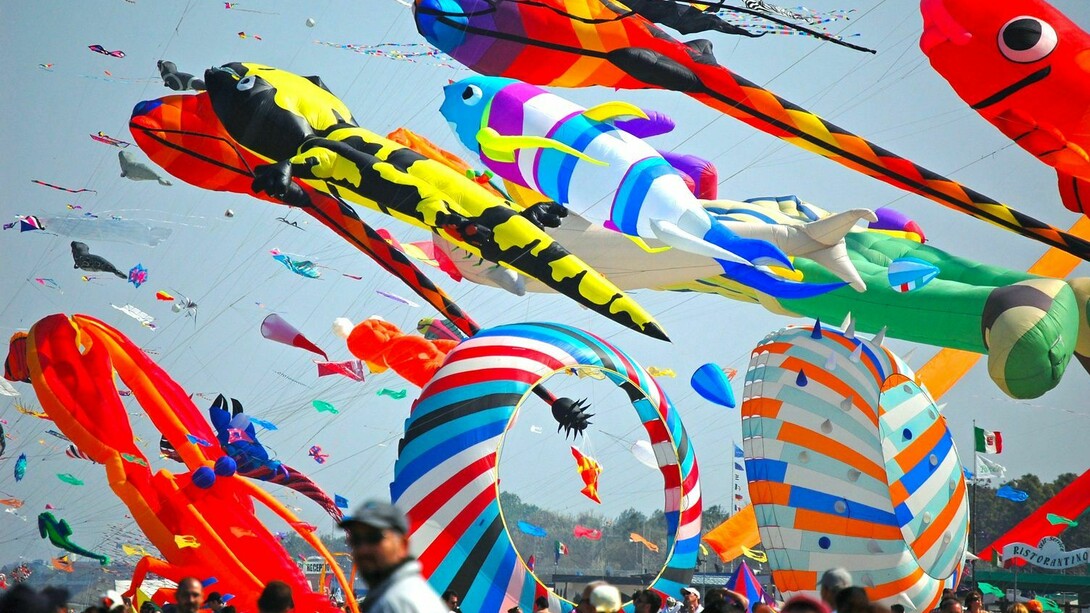 Festival dell'Aquilone