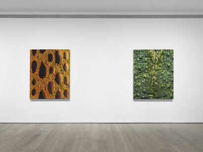 Douglas Melini, Under your skin and over the moon, exhibition view. Courtesy of Miles McEnery Gallery