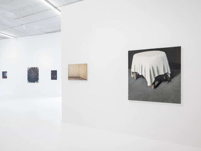 Cristof Yvoré  and Ilse D’Hollander, exhibition view. Courtesy of Gallery Sofie Van de Velde