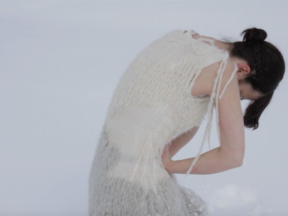 Roberta Segata, Il buio oltre la siepe, 2015