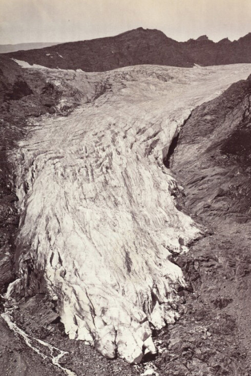 Photographic Collection. Courtesy of Albertina