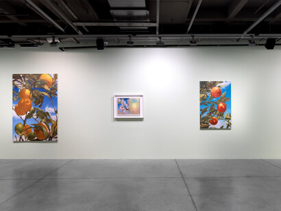 Mustafa Hulusi, Breathing in the world, exhibition view. Courtesy of Dirimart