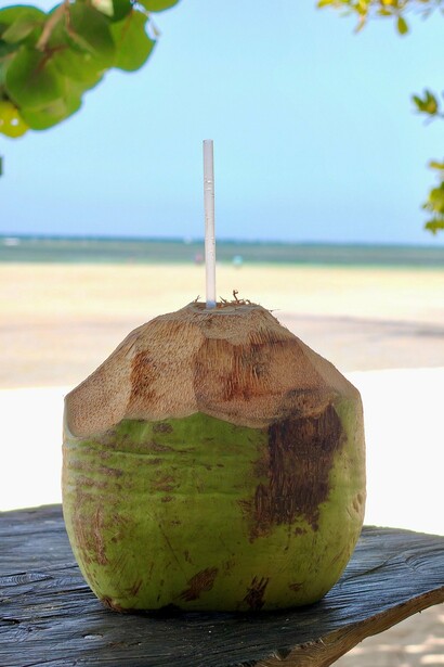 Um coco verde com canudo repousa sobre uma mesa de madeira, diante da praia e do mar. Entre a sombra das árvores e os pequenos prazeres de uma viagem, a experiência de desacelerar também passa pelos sentidos e pelo contato direto com a natureza