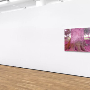 Mature Themes. Courtesy of Foxy Production 