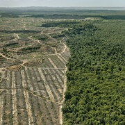 Anthropocene. Courtesy of Art Gallery of Ontario