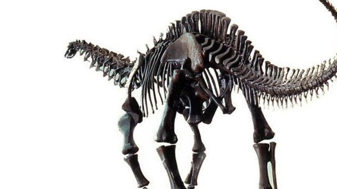 Hall of Saurischian Dinosaurs. Courtesy of American Museum of Natural History