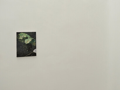 Martinho Costa, Dream distortion, vista de exhibición. Cortesía de Galería silvestre