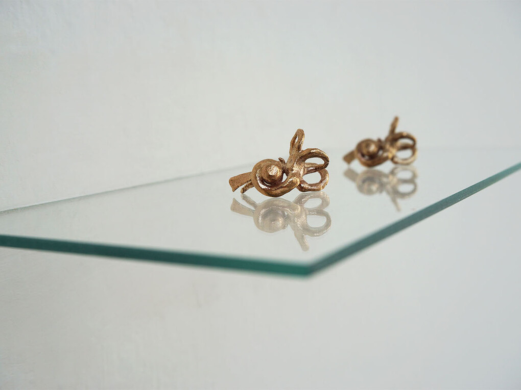 Rowena Harris, Walking around in clockwise circles, (detail), 2015, bronze, glass, Two right sided cochlear (inner ear) taken from an MRI scan, digitally printed in wax and then cast in bronze. Presented on glass inset into the wall, 15 x 7.5 x 1.5 cm
