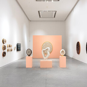 Melis Buyruk, Four birds and one soul, exhibition view. Courtesy of Leila Heller Gallery