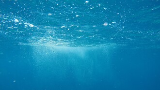 El cuerpo humano está constituido en un 70% por agua de mar isotónica
