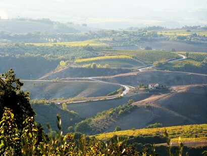 Panorama sulle campagne orvietane