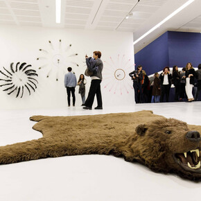 Paola Pivi. World record. Courtesy of Maxxi