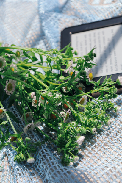 Girassóis colhidos e um leitor de livro digitais para refletir sobre a vida e o perdão