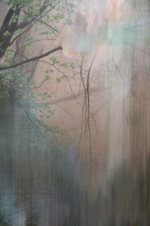 Sandra Kantanen. Courtesy of Purdy Hicks Gallery